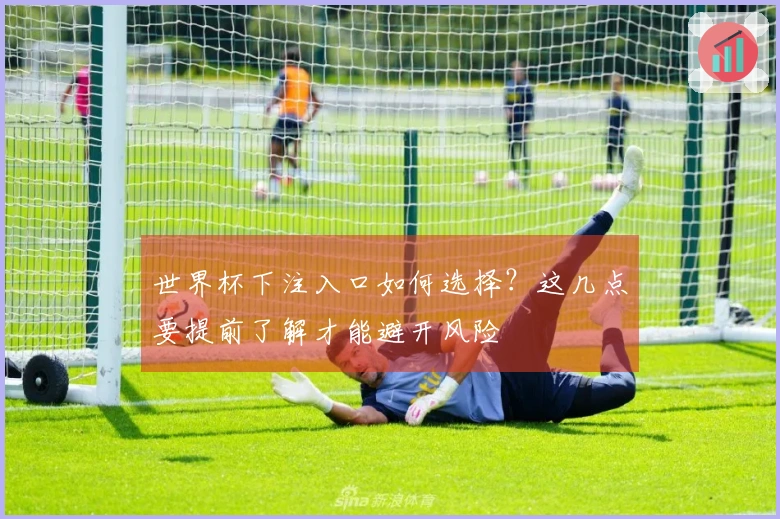 世界杯下注入口如何选择？这几点要提前了解才能避开风险